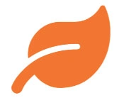 Orange leaf icon on white background.