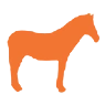 Orange horse silhouette on black background.